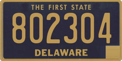 DE license plate 802304