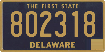 DE license plate 802318