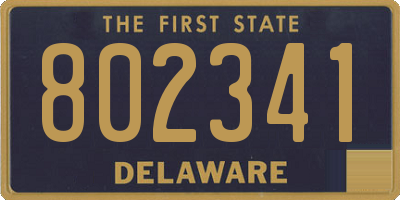 DE license plate 802341
