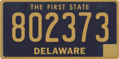 DE license plate 802373