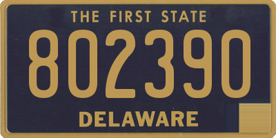 DE license plate 802390