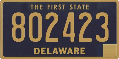 DE license plate 802423