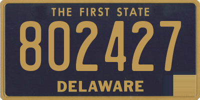 DE license plate 802427