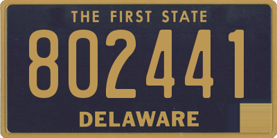 DE license plate 802441