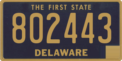 DE license plate 802443