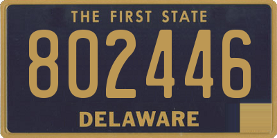 DE license plate 802446