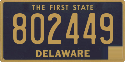 DE license plate 802449