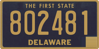 DE license plate 802481