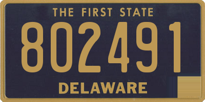 DE license plate 802491