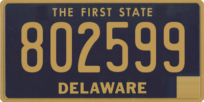 DE license plate 802599