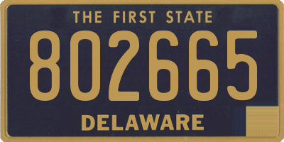 DE license plate 802665