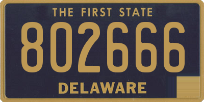 DE license plate 802666