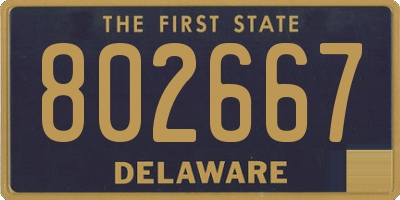 DE license plate 802667
