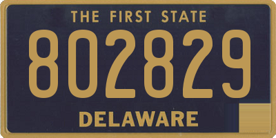 DE license plate 802829