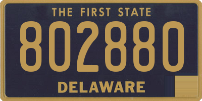DE license plate 802880