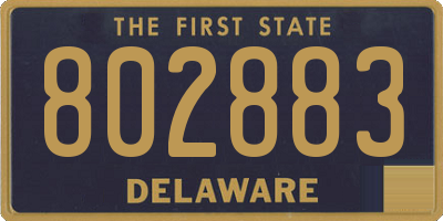 DE license plate 802883