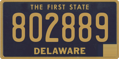 DE license plate 802889