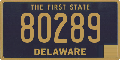 DE license plate 80289