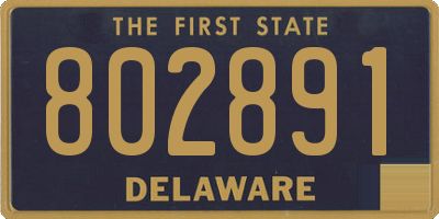 DE license plate 802891
