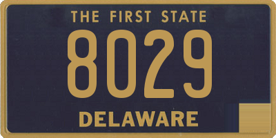 DE license plate 8029