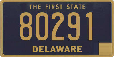 DE license plate 80291