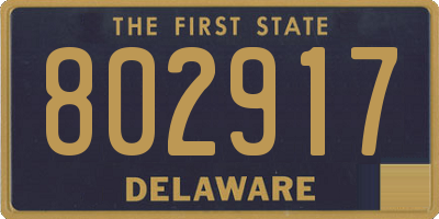 DE license plate 802917