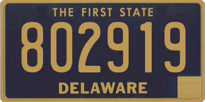 DE license plate 802919