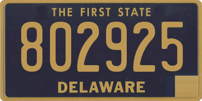 DE license plate 802925