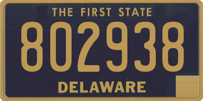 DE license plate 802938