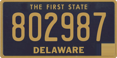 DE license plate 802987