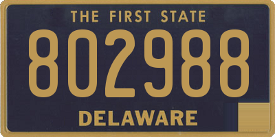 DE license plate 802988