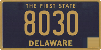 DE license plate 8030