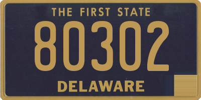 DE license plate 80302