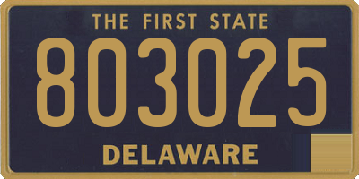 DE license plate 803025
