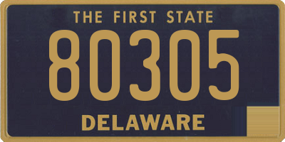 DE license plate 80305