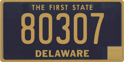 DE license plate 80307