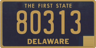 DE license plate 80313