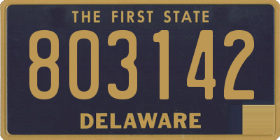 DE license plate 803142