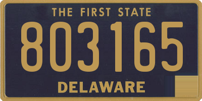 DE license plate 803165