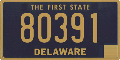 DE license plate 80391
