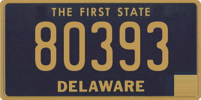 DE license plate 80393