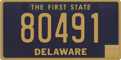 DE license plate 80491