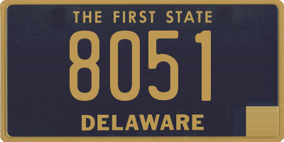 DE license plate 8051