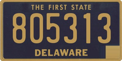DE license plate 805313