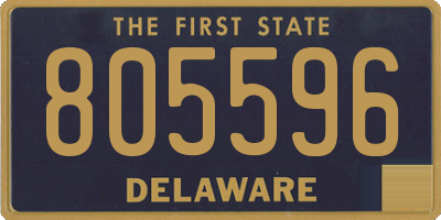 DE license plate 805596