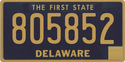 DE license plate 805852