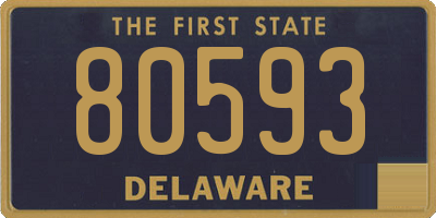 DE license plate 80593