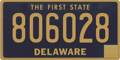 DE license plate 806028