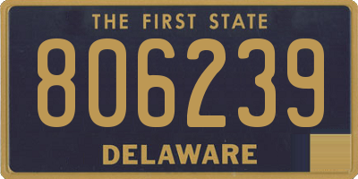 DE license plate 806239