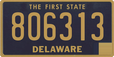 DE license plate 806313